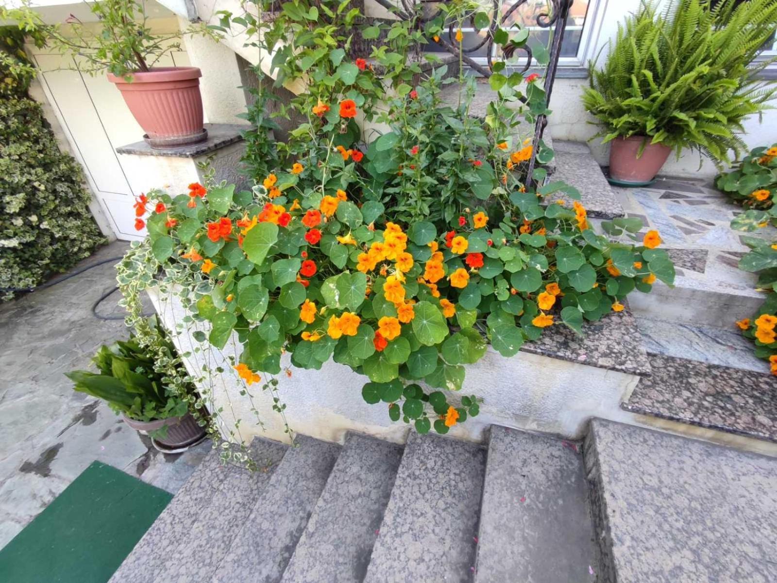 Vila Sentic Vranje Exterior photo
